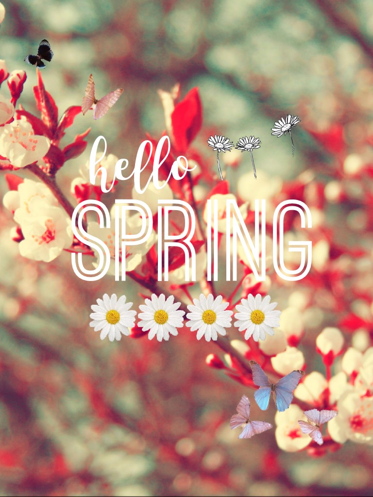 Spring 🍃🌻