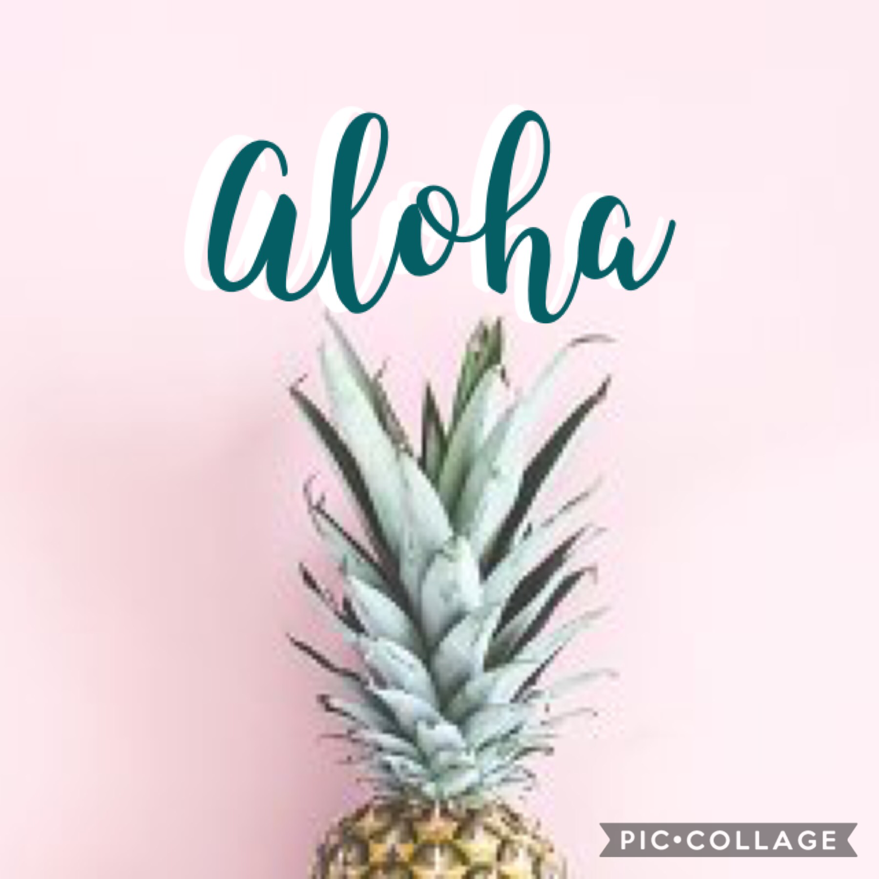 🍍


Welcome to my account 🍍🍍