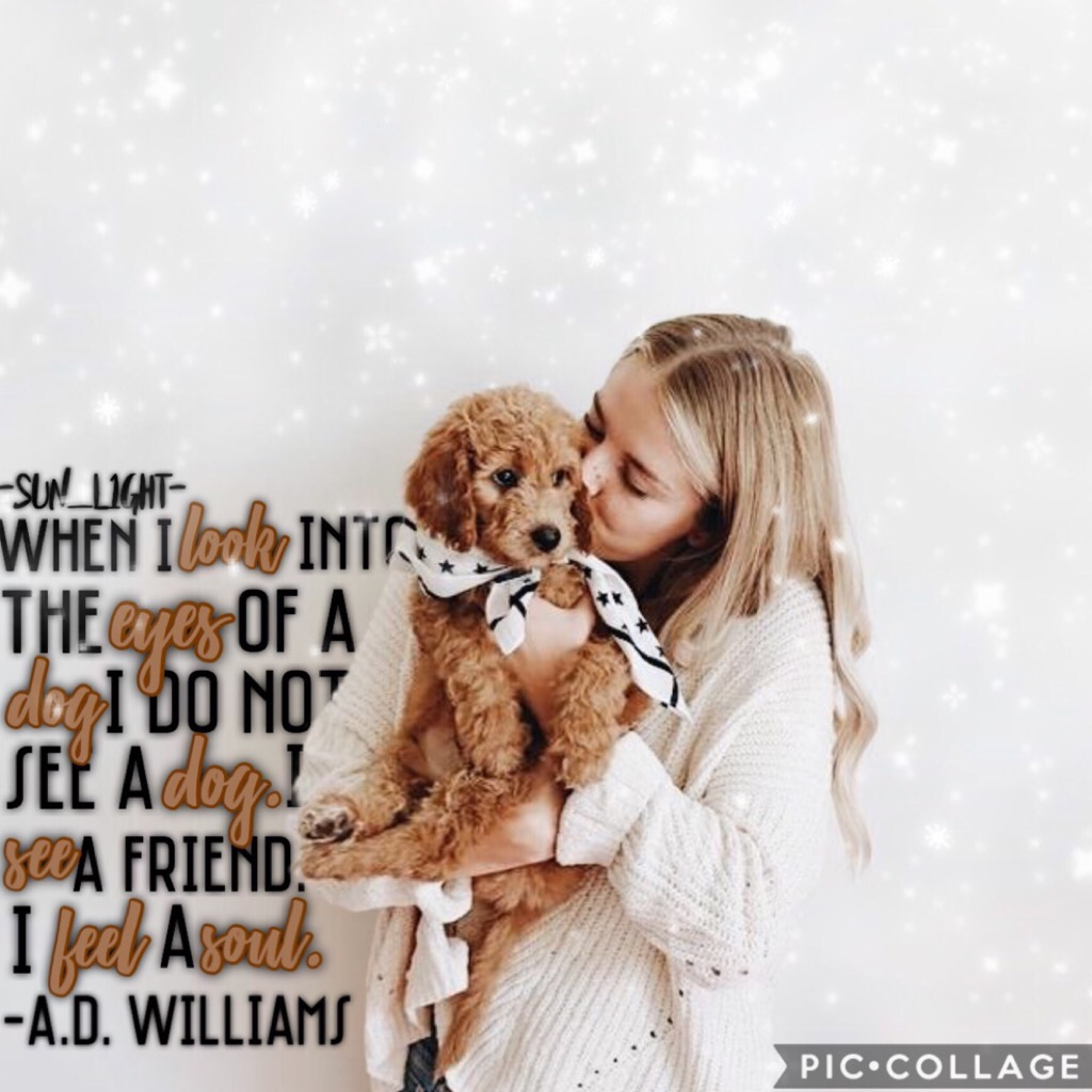 🐶tap!🐶
Hi all! 19/4/18
THIS DOG IT SUPER CUTE! 
I really like this quote! It’s so inspirational😊🐾
Anyone wanna collab? I’m kinda free rn!🌻💛
That’s it! Remember to get your entries in if you’re in my games! 
Byeeeee