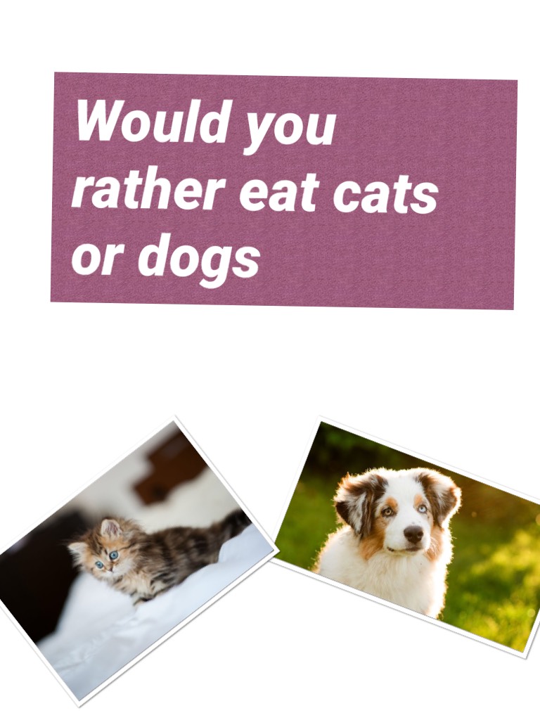Would you rather eat cats or dogs