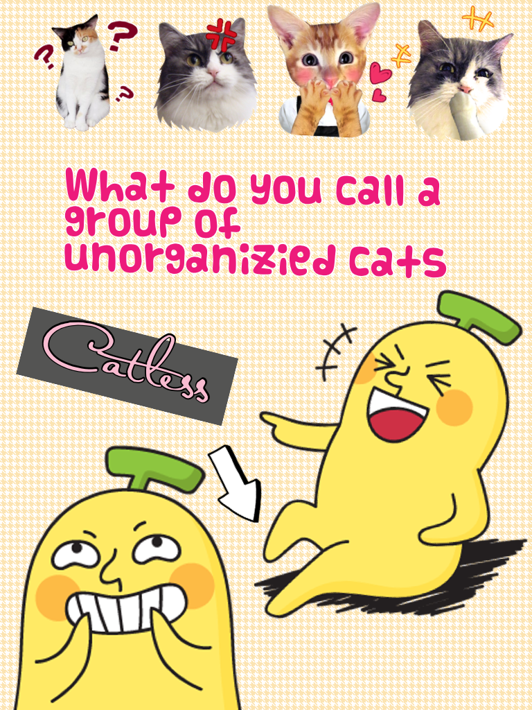 What do u call a group of unorganized cats??? 
CATLESS 