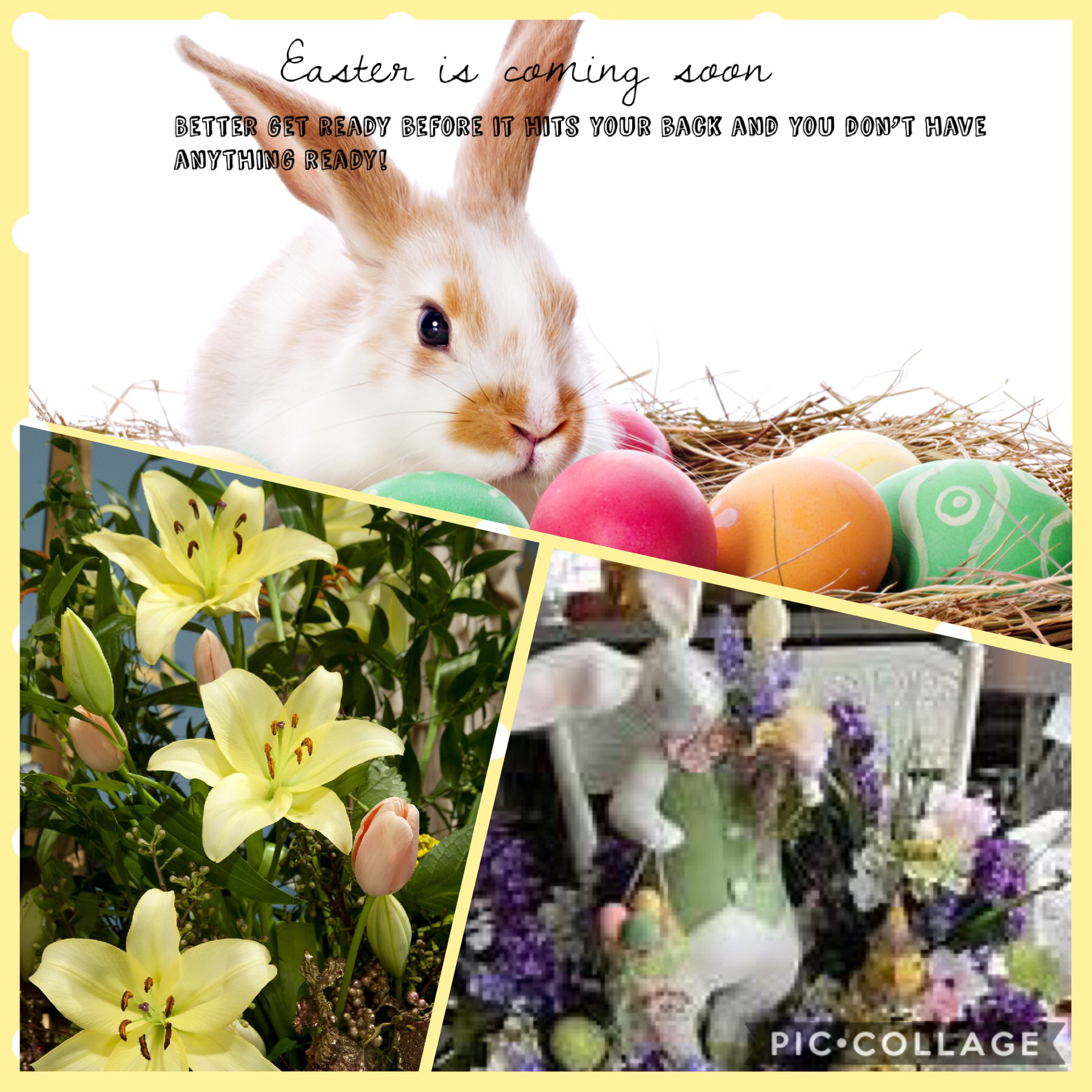 Easter!🐇🌼