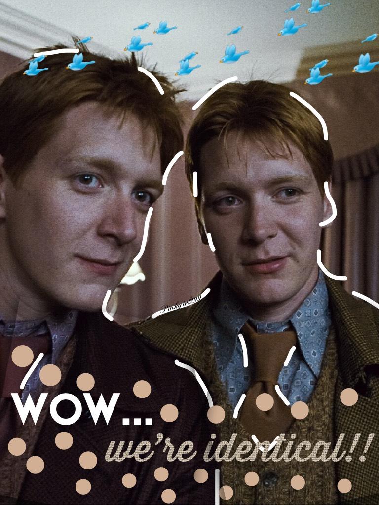 Mega awesome cool fangirl says...
Another Fred and George edit! GAH I can never get enough of them!!!❤️🌺 I’ll be making more edits so keep an eye out!👋