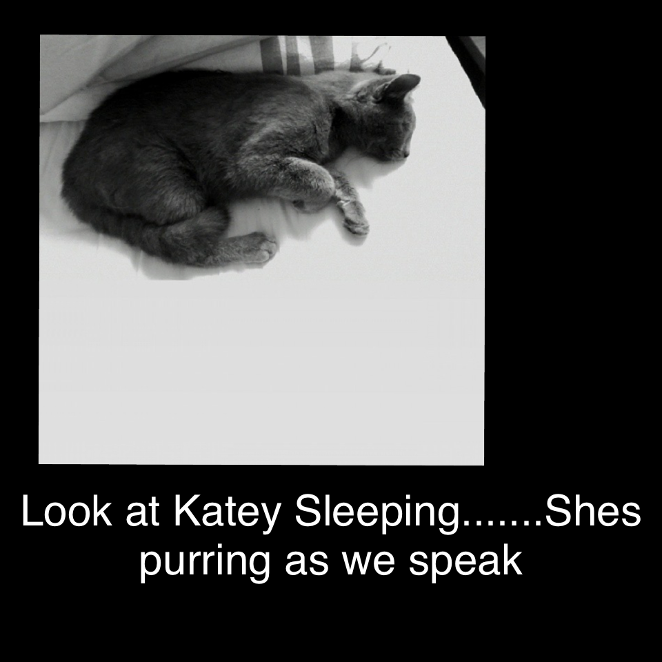 Katey Sound Asleep