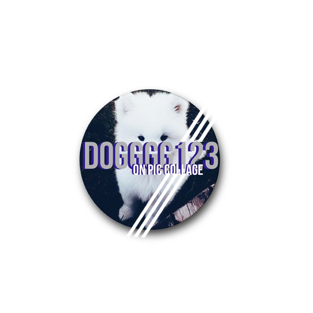     🙇Tap💩
Here's your icon-Dogggg123! Hope you enjoy!!! I'm SOOOO sorry for such a late post {AGAIN}. Anyway, bye guys!
