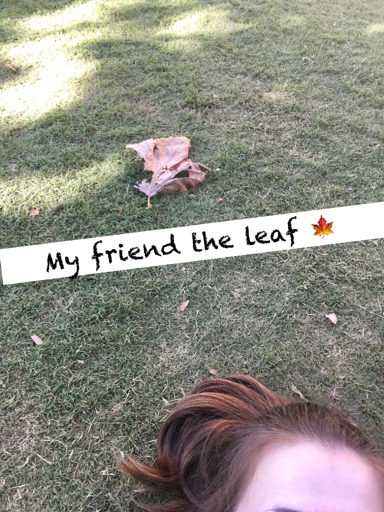 My friend the leaf 🍁 