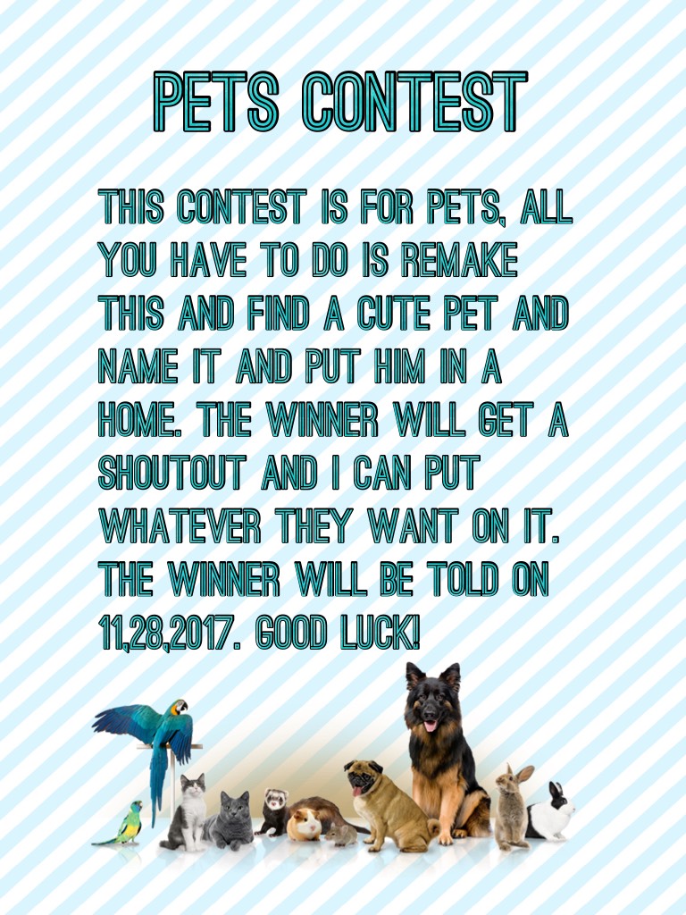 Pets Contest 