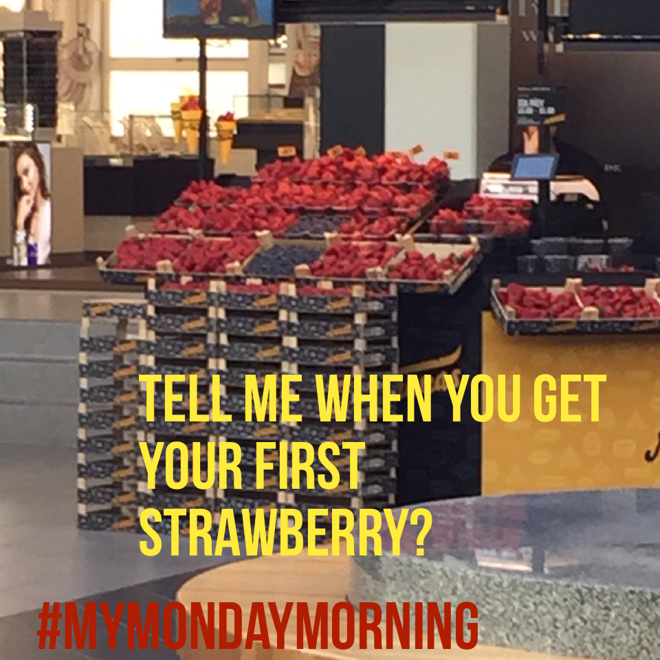 #mymondaymorning i live in a "winter" place so seeing strawberrys so early is like "what happened?!"