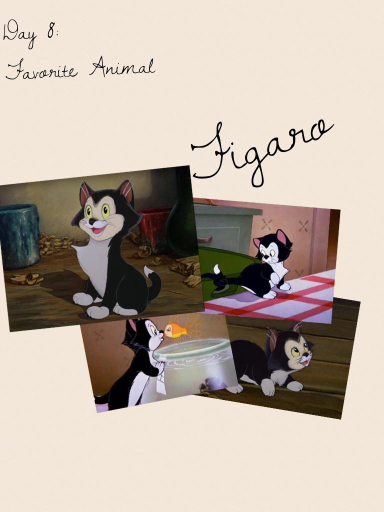 Figaro. 