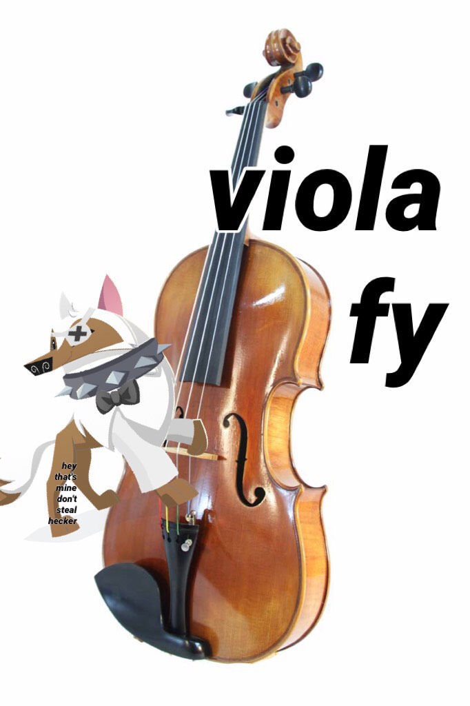 viola fy 