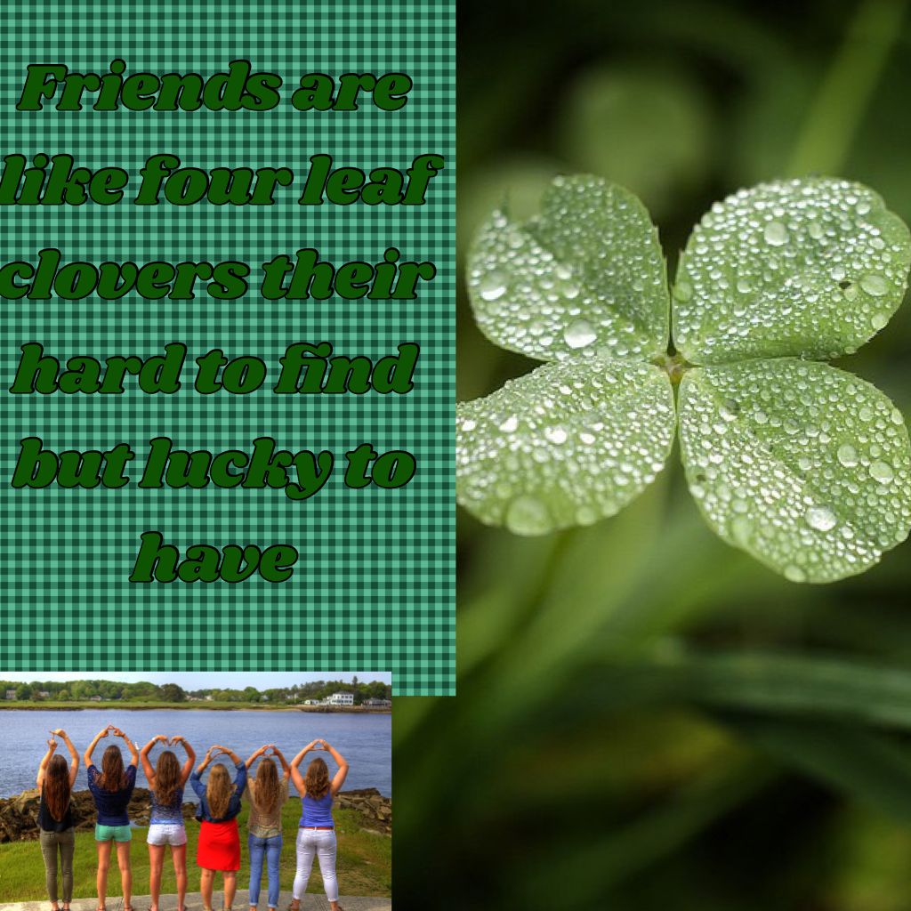 Friends are like four leaf clovers their hard to find but lucky to have 