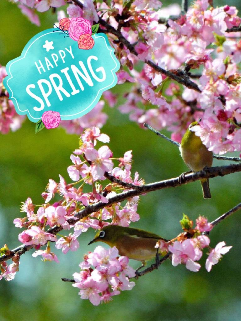Happy spring break!
Happy spring!
