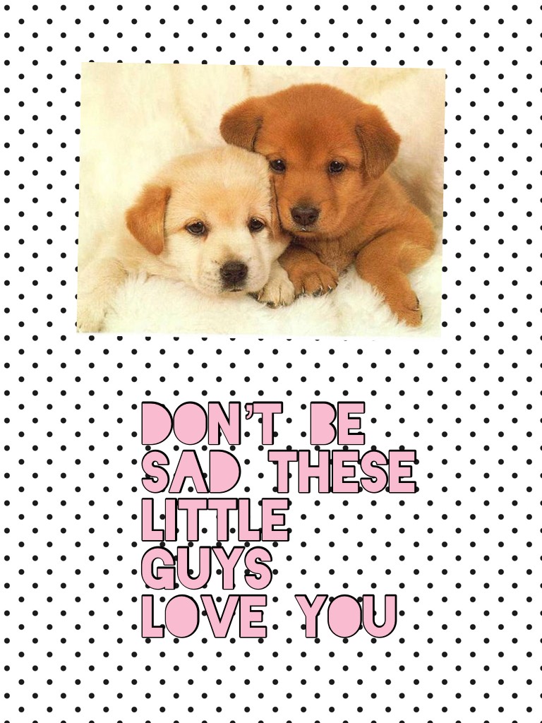Don’t be sad these little guys love you