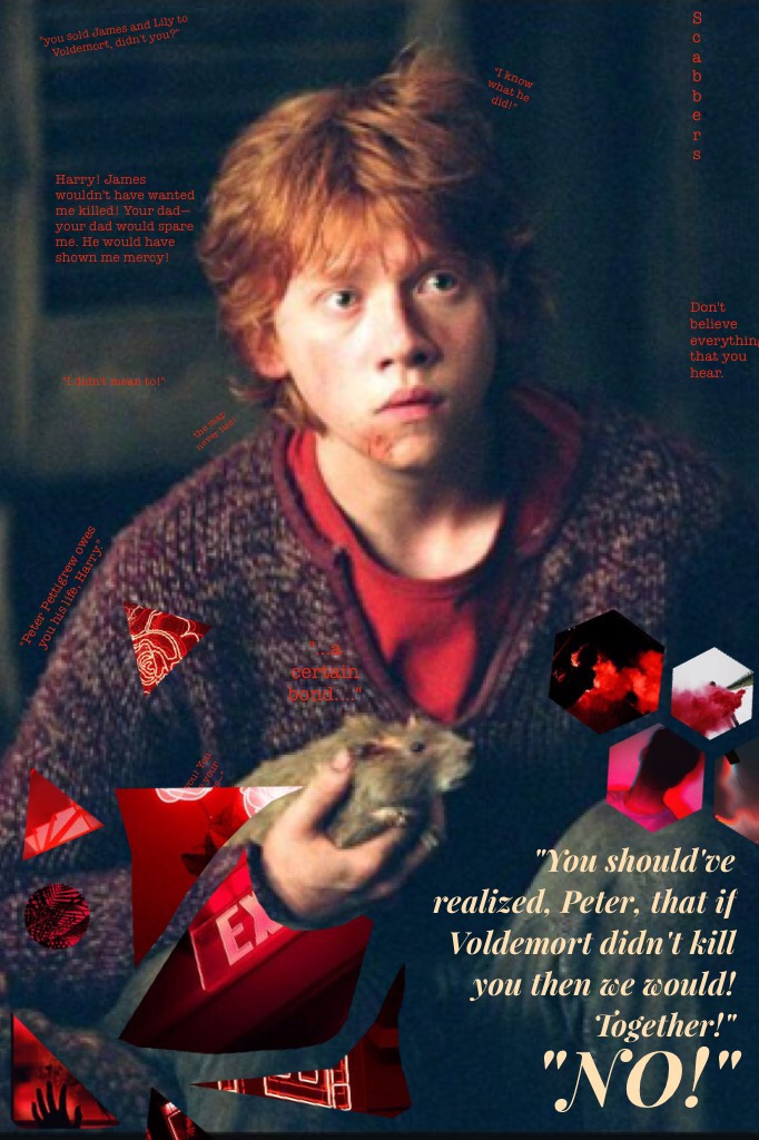 🥀"When one wizard saves another wizard's life, it creates a certain bond between them... And I'm much mistaken if Voldemort wants his servant in the debt of Harry Potter." | submission to round 2 of @youblitheringidiot's Harry Potter games | team Wormtail