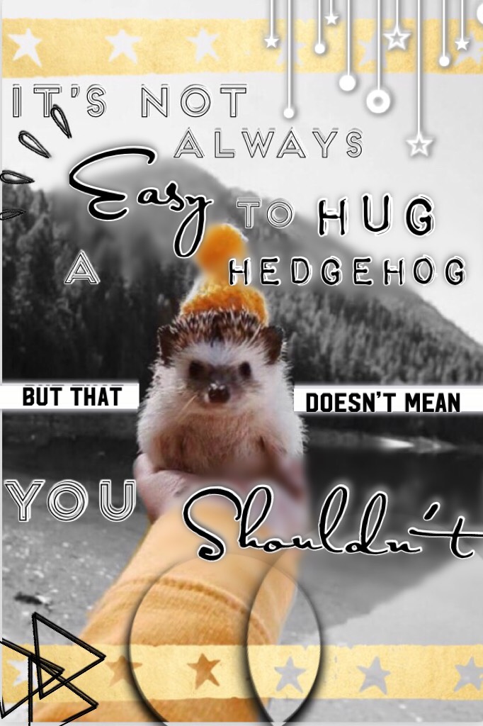 My entry to hedgehugs contest! 😝 I don’t think I’m gonna win 😂 