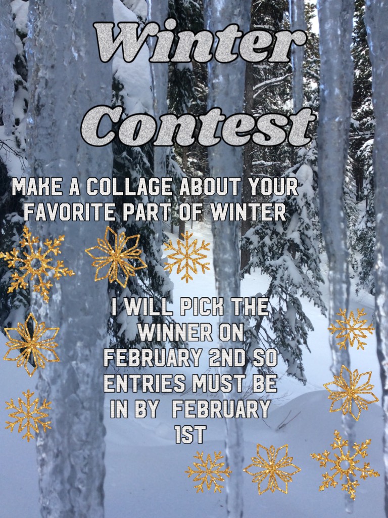 Winter Contest