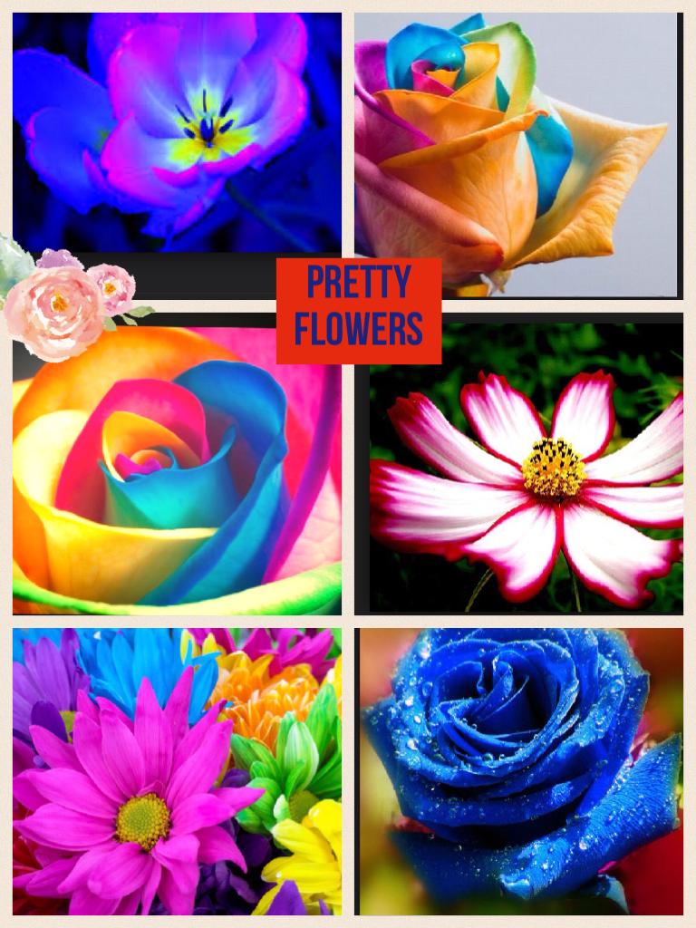 Pretty flowers