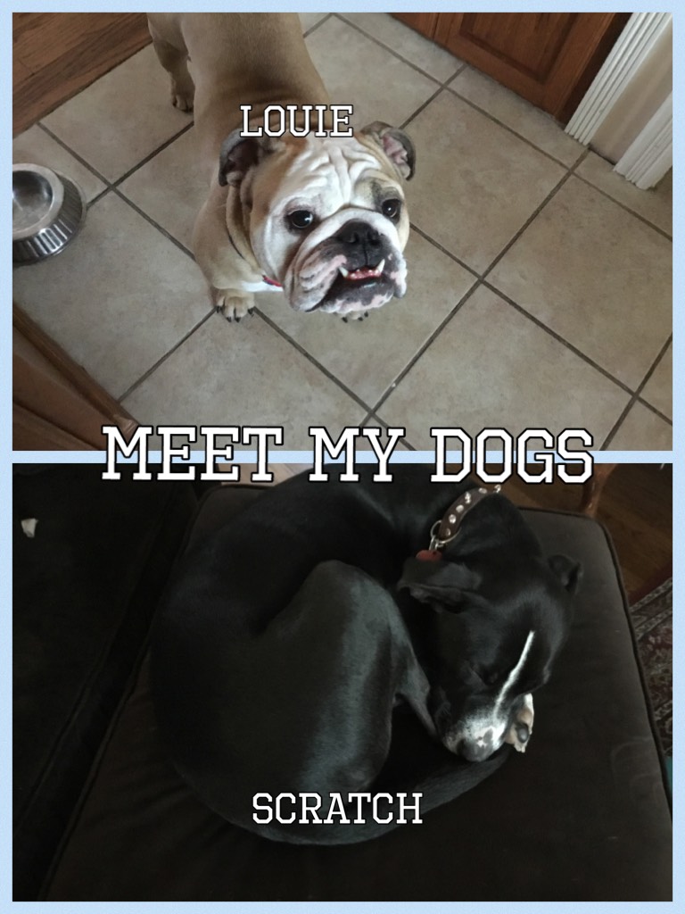 Meet my dogs