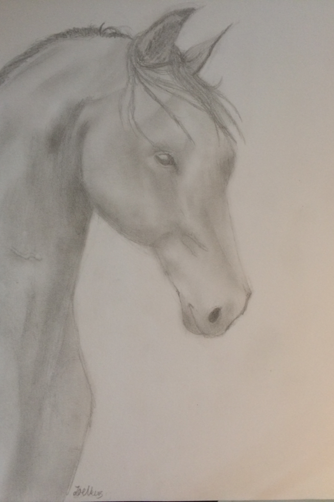 Horse 🐴 drawing that I did for my mums birthday 🎉 