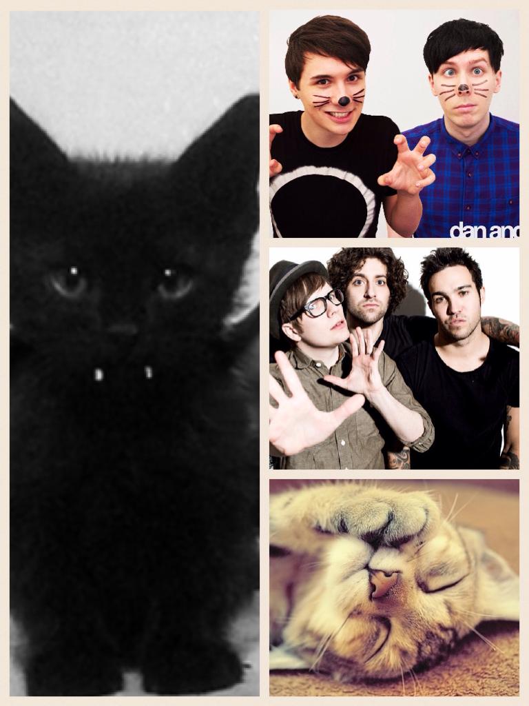 Dan and Phil+FOB+Animals=👍👍👍