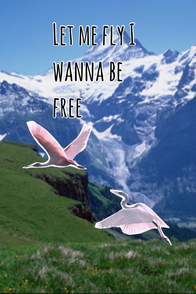 Let me fly I wanna be free 