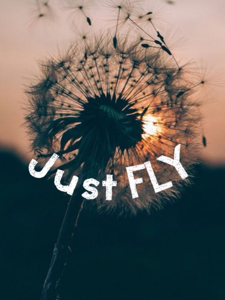 Fly away,,
......
