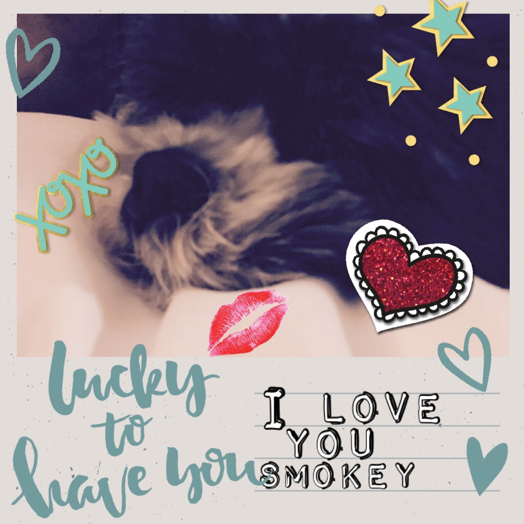        Click the dog, 🐶

    Smokey is so CUTE♥️♥️♥️!! Sorry, I love him to much!!!                            Write in the comments how much you love your dog or how badly you want a dog!!!!