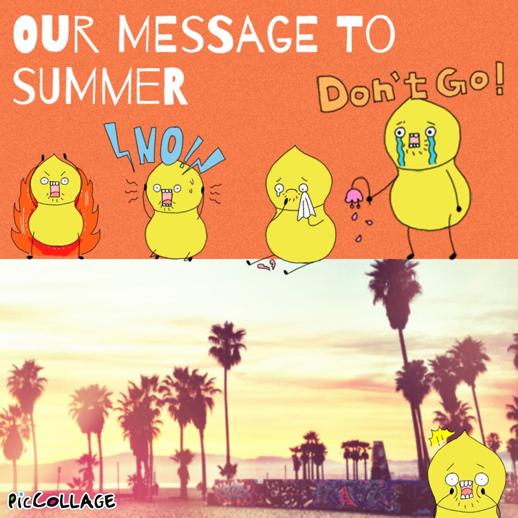 Our message to summer