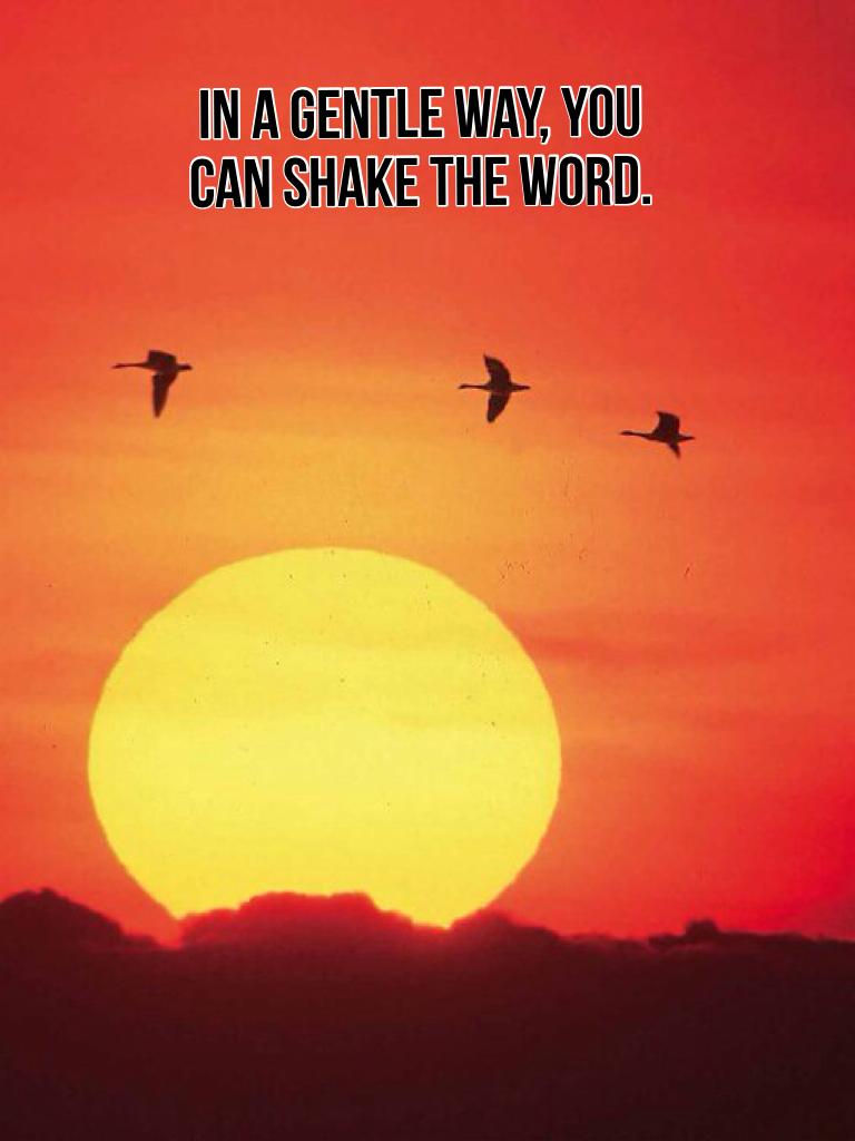 In a gentle way, you can shake the word.