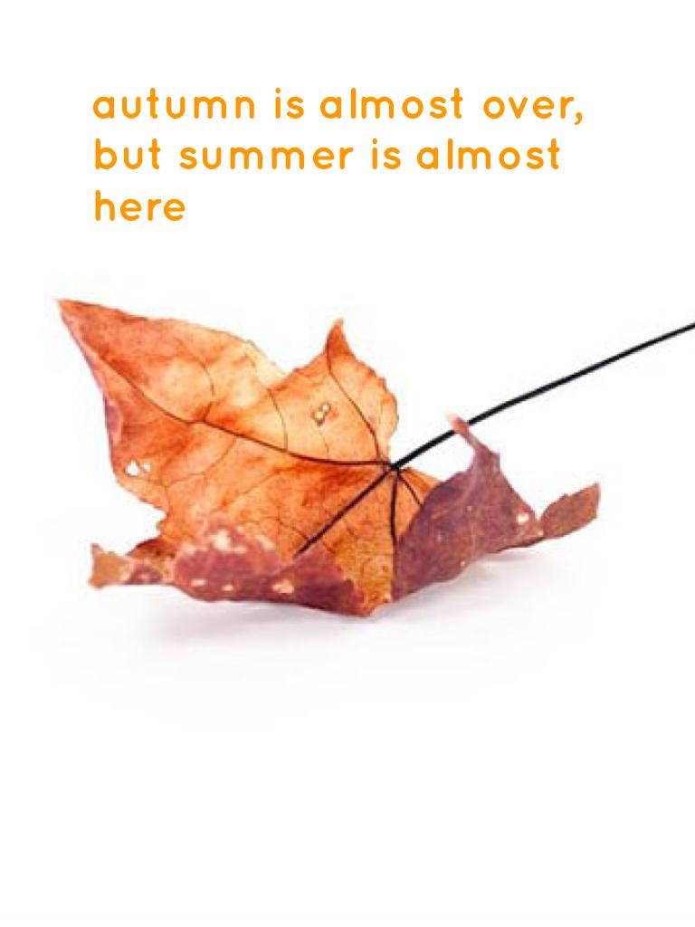 autumn is almost over, but summer is almost here