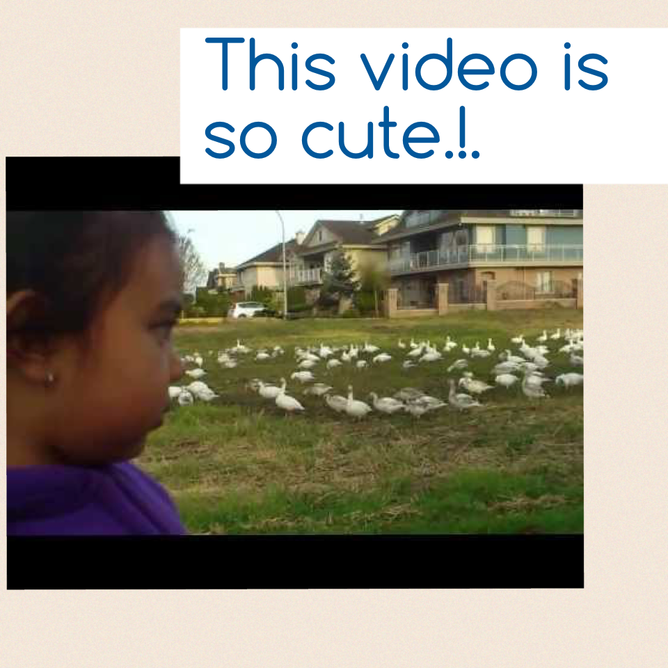 This video is so cute.!.