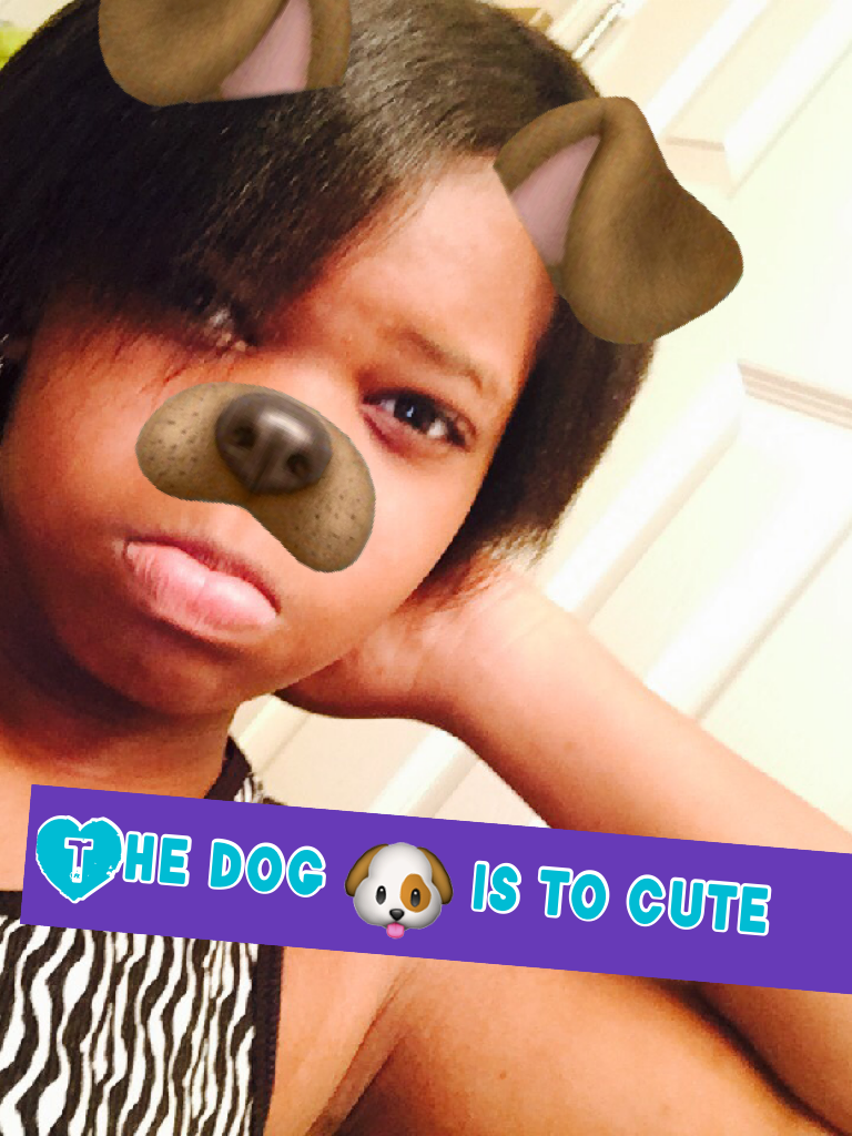 The dog 🐶 is to cute
