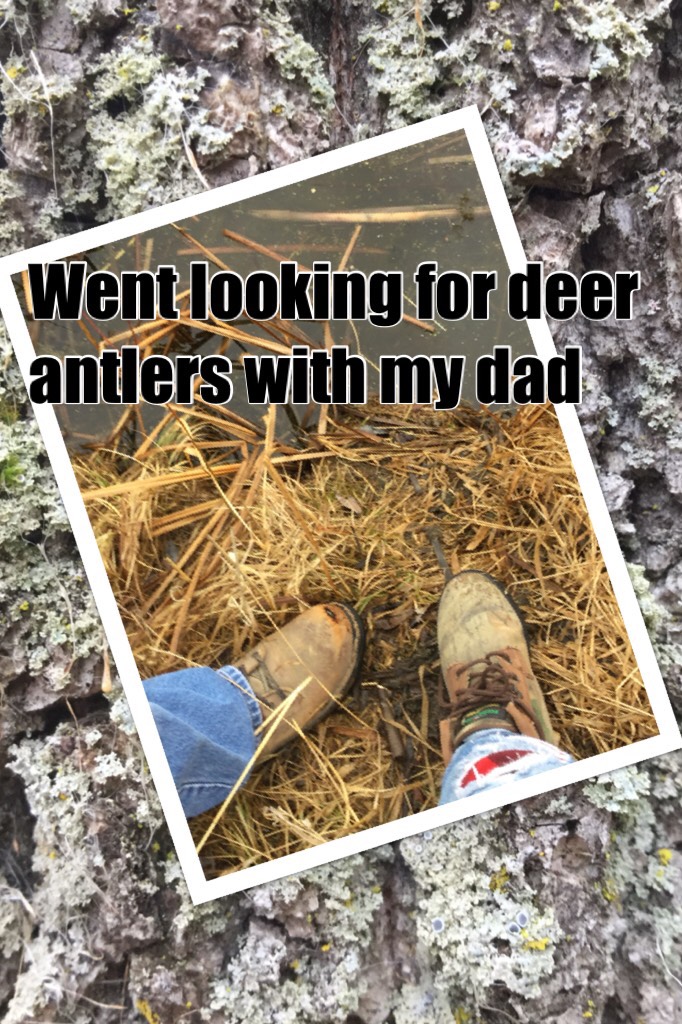 Went looking for deer antlers with my dad didn’t find anything just a bone and some feathers