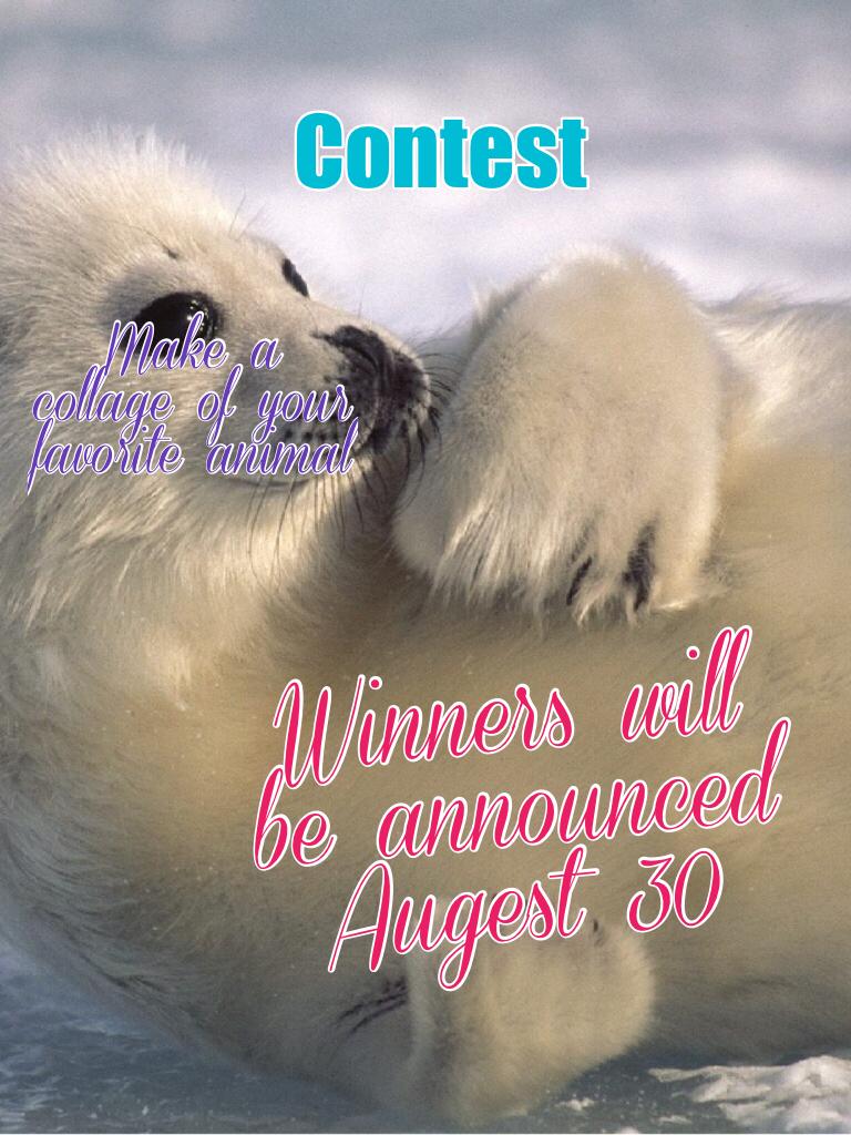 Contest!!!💗