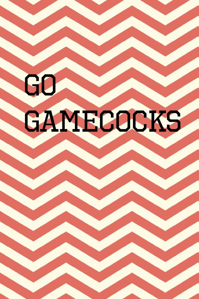 Go gamecocks 
