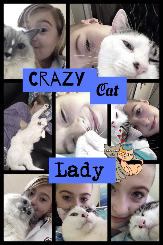 Crazy cat lady 👌 😚