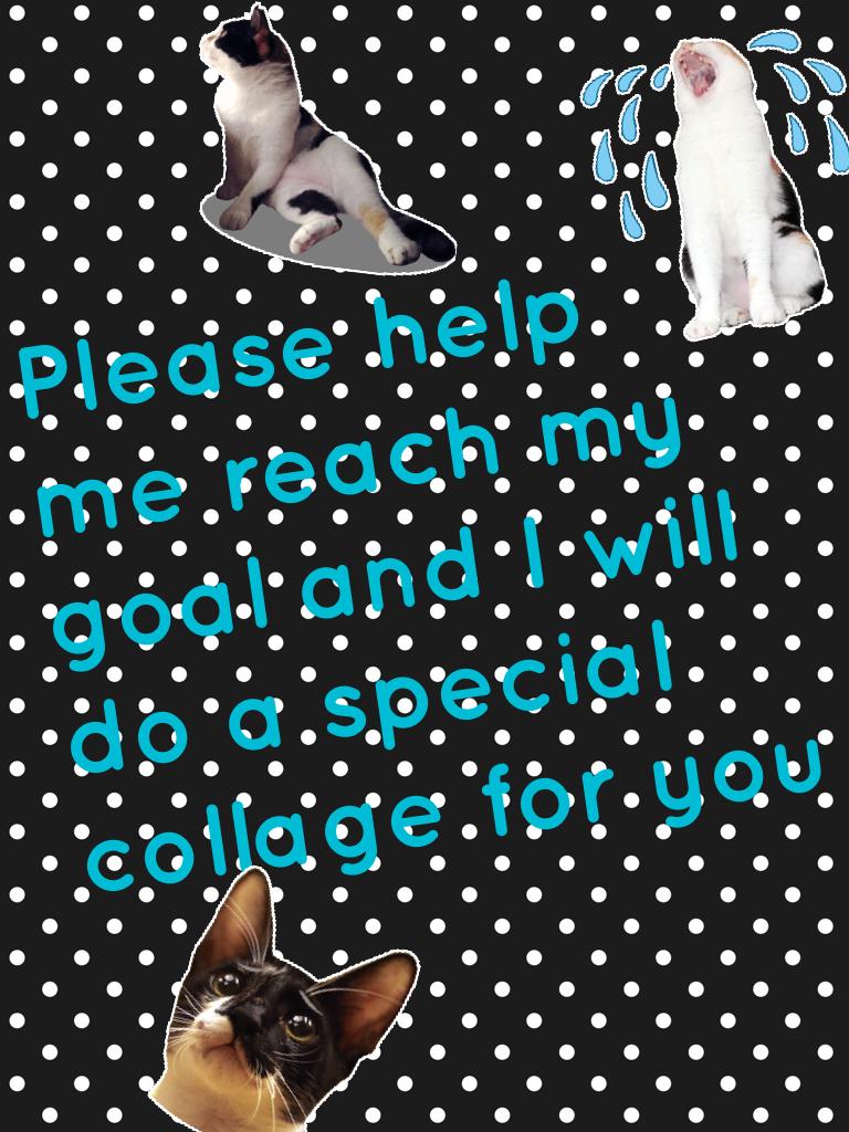 Please help me reach my goal and I will do a special collage for you 