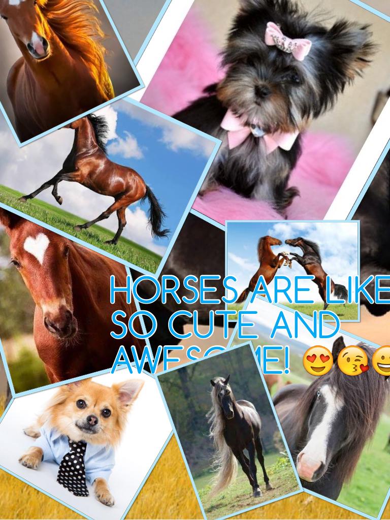 HORSES ARE LIKE SO CUTE AND COOL!😍😘😀