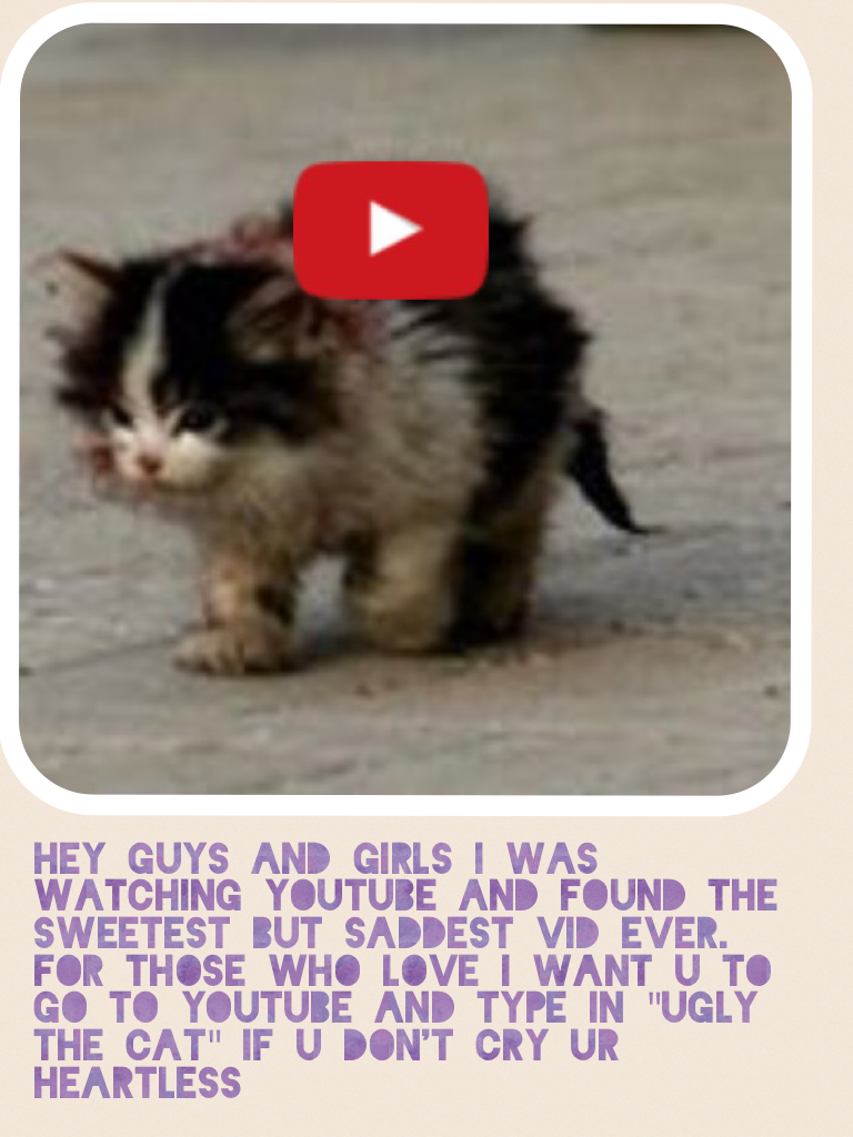 Hey guys and girls I was watching YouTube and found the sweetest but saddest vid ever. For those who love I want u to go to YouTube and type in "Ugly the Cat" if u don't cry ur heartless