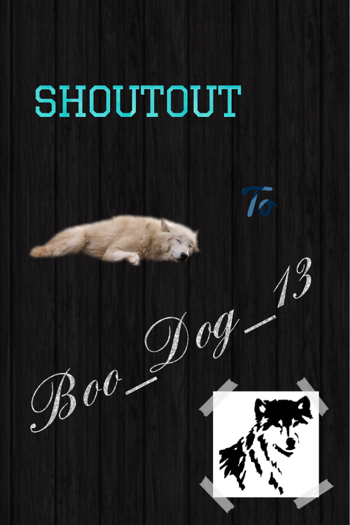 Shoutout to Boo_Dog_13