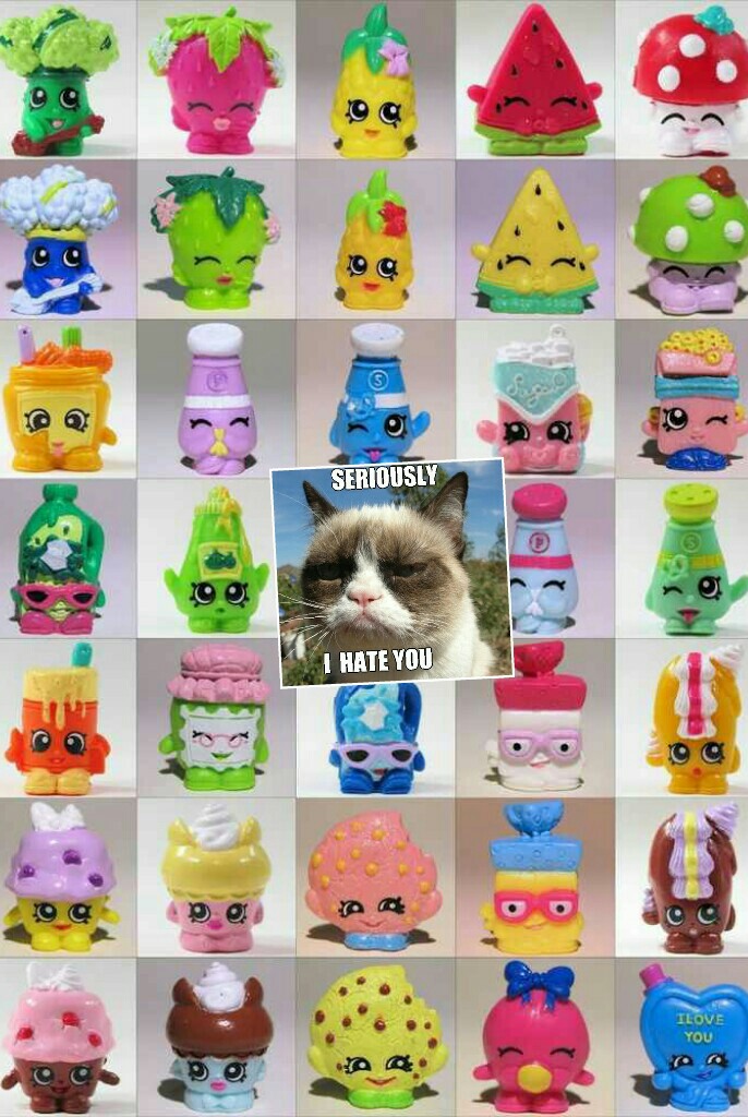 grumpy cat doesn't like shopkins what why