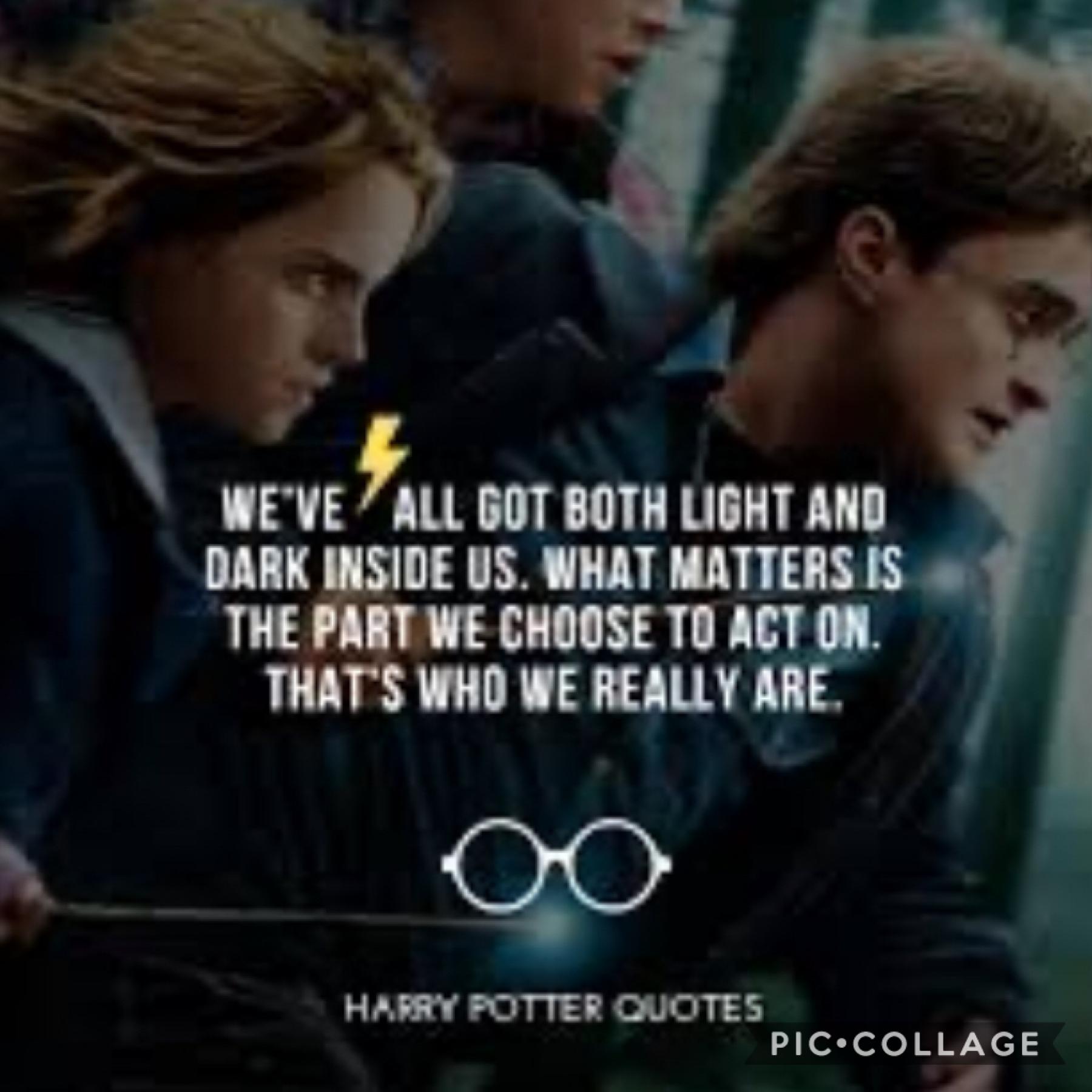 I am starting a quote from Harry Potter characters Everyday. Today's is a quote form Harry himself!!!