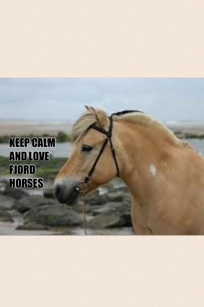 KEEP CALM
AND LOVE FJORD
HORSES 💜