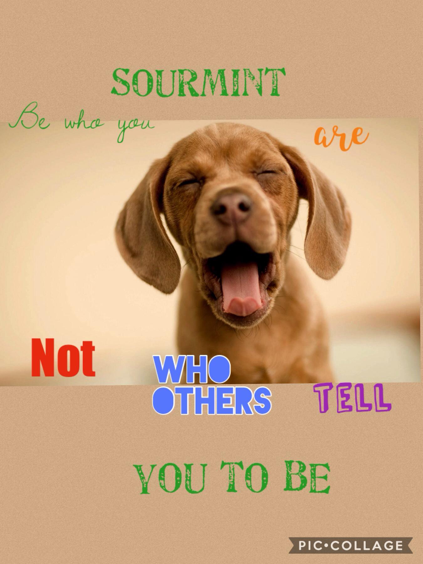 Be yourself!!!!
Sorry I haven't posted in awhile! If you have a dog, comment their name!!!!