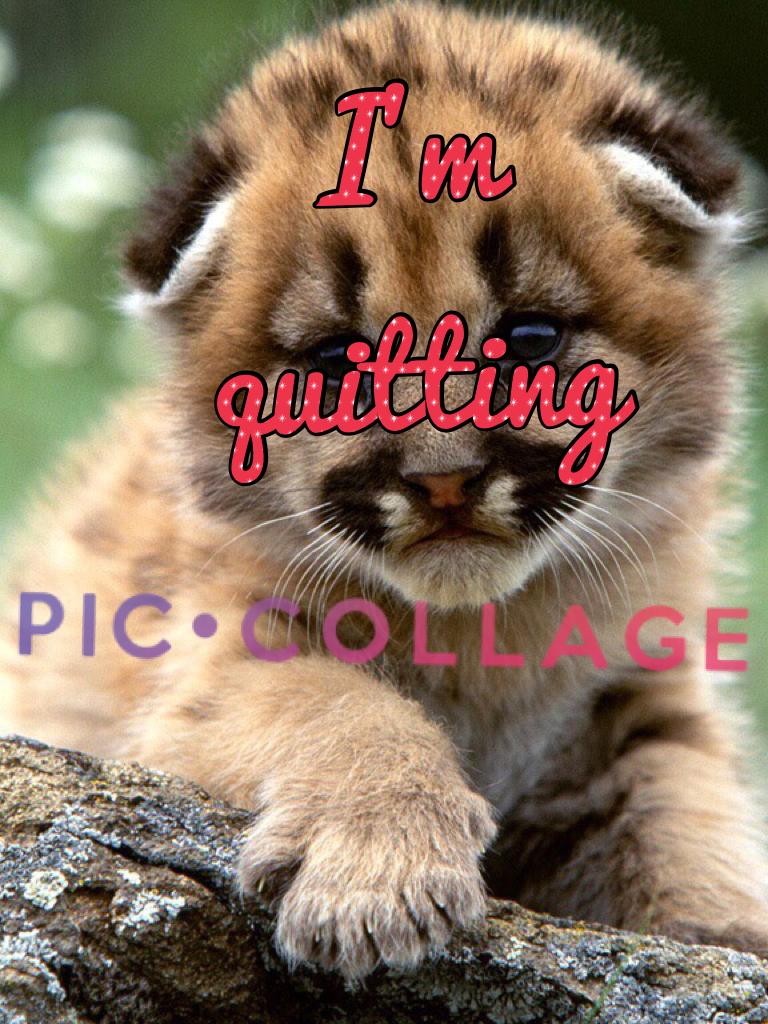 I'm quitting pic collage Thanks for following me!