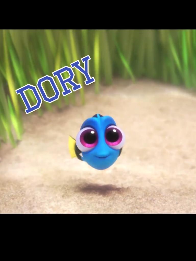 Dory 