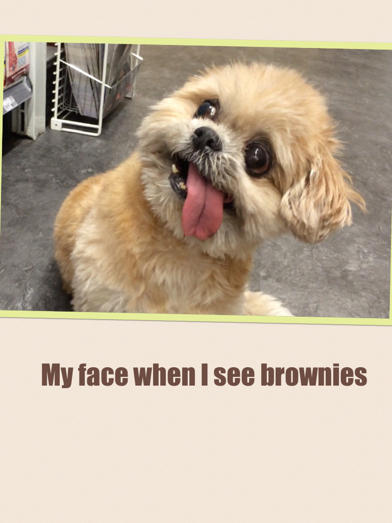 My face when I see brownies