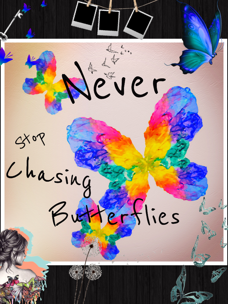 ~Never stop chasing butterflies~
