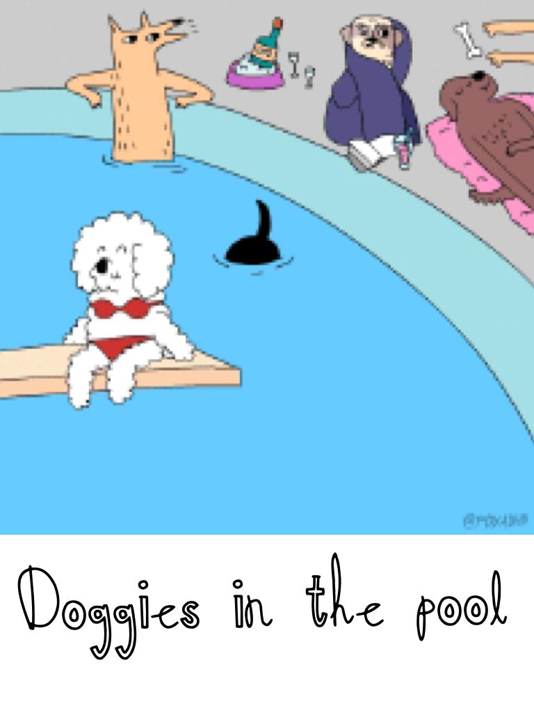 Doggies in the pool