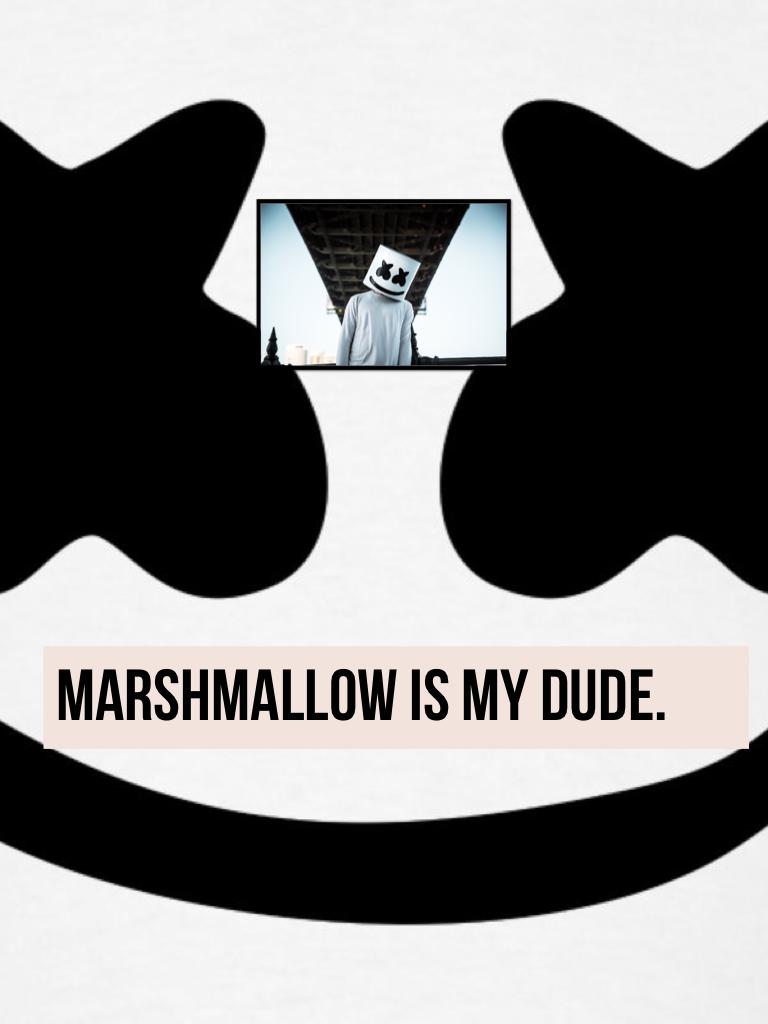 Marshmallow is my dude